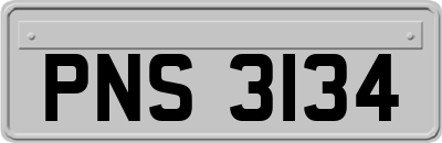 PNS3134