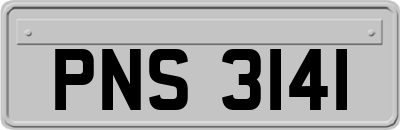 PNS3141