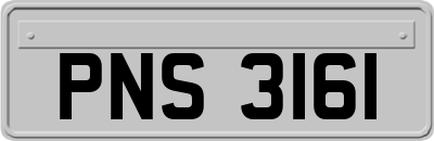 PNS3161