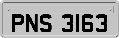 PNS3163