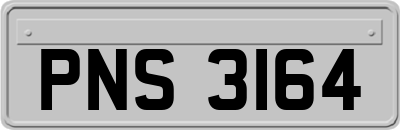 PNS3164