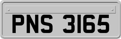 PNS3165