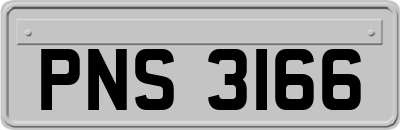 PNS3166