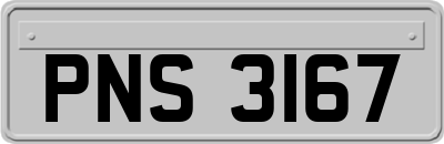 PNS3167
