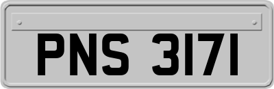 PNS3171