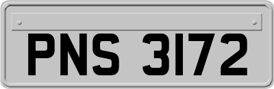 PNS3172