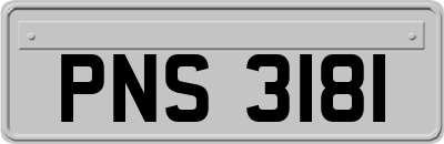 PNS3181