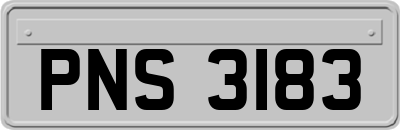 PNS3183