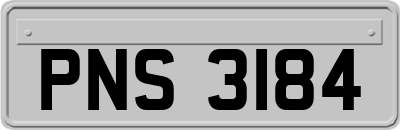 PNS3184