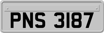PNS3187