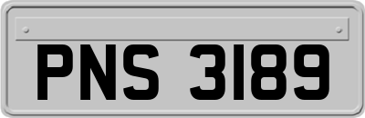 PNS3189