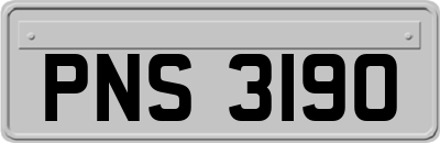 PNS3190