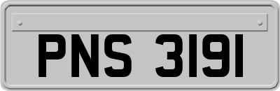 PNS3191