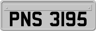 PNS3195
