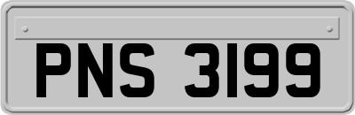 PNS3199