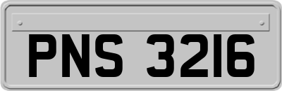 PNS3216