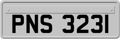 PNS3231