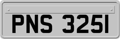 PNS3251