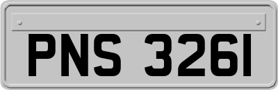 PNS3261