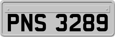 PNS3289