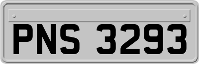 PNS3293