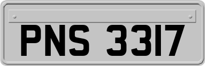 PNS3317