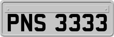 PNS3333
