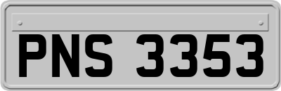 PNS3353