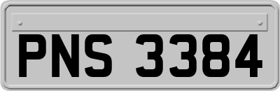 PNS3384