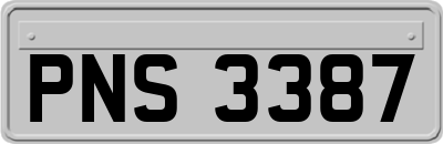 PNS3387