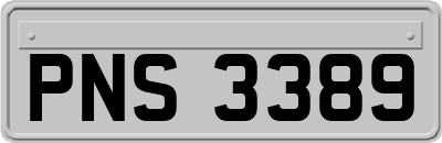 PNS3389