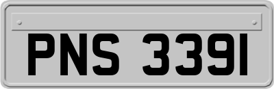 PNS3391