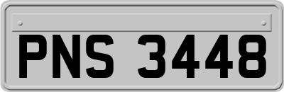 PNS3448