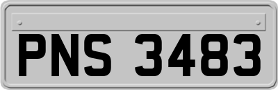 PNS3483