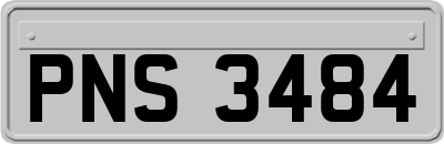 PNS3484