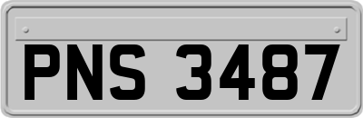 PNS3487