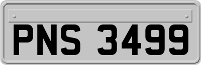 PNS3499