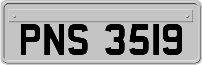 PNS3519