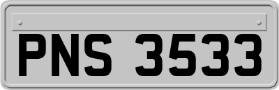 PNS3533