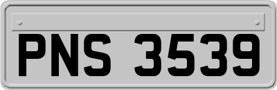 PNS3539