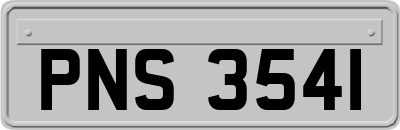 PNS3541