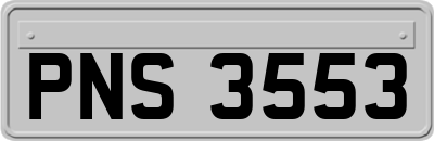 PNS3553