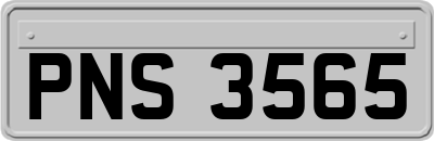 PNS3565