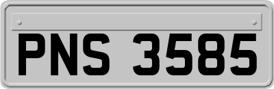 PNS3585