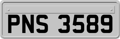 PNS3589