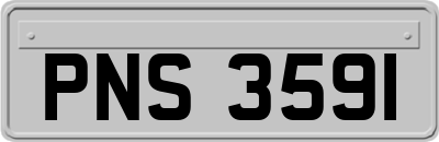 PNS3591