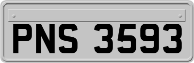 PNS3593