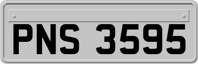PNS3595