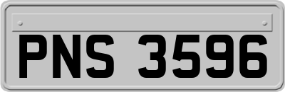 PNS3596