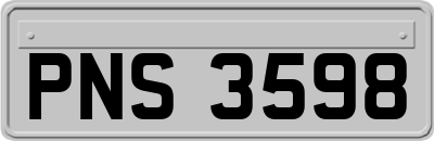 PNS3598